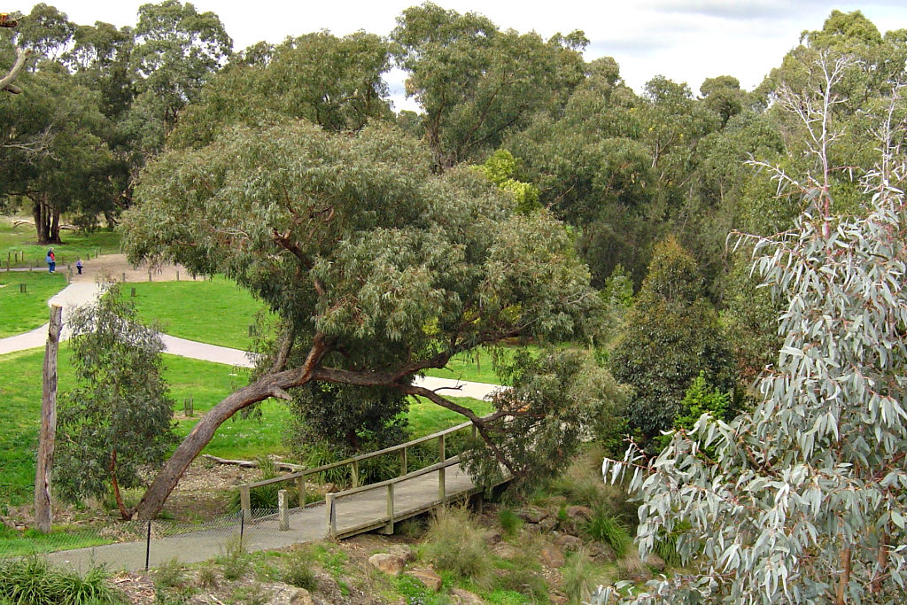 Bogong Reserve faq